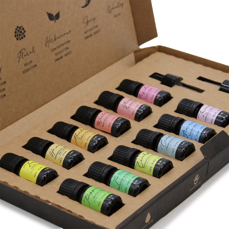 Aromatherapy Essential Oil Advanced Gift Set-2