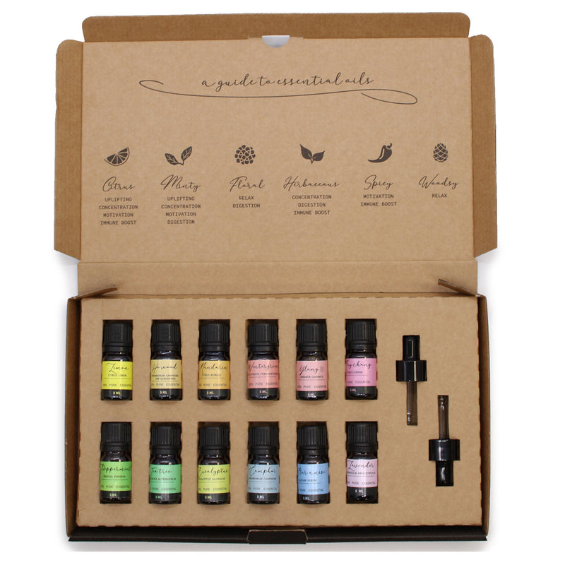 Aromatherapy Essential Oil Advanced Gift Set-0