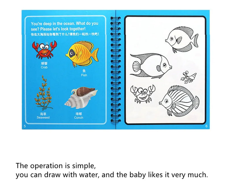 Libro Mágico de Agua Montessori