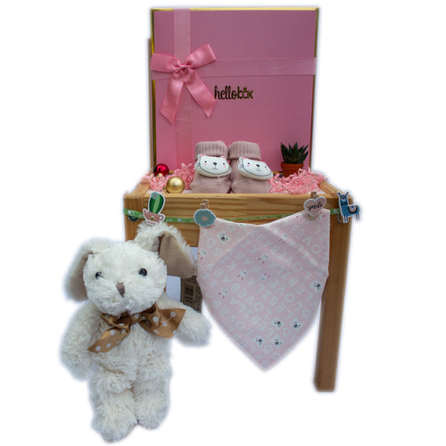 GIRLS BABY GIFT BASKET | SLEEP WELL - GIFT SET-0